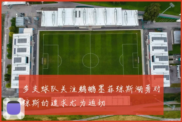 多支球队关注鹈鹕墨菲琼斯湖勇对琼斯的追求尤为迫切