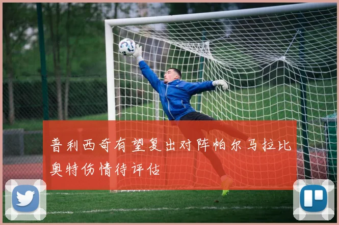 普利西奇有望复出对阵帕尔马拉比奥特伤情待评估