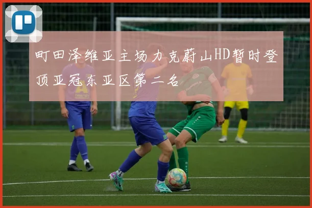町田泽维亚主场力克蔚山HD暂时登顶亚冠东亚区第二名